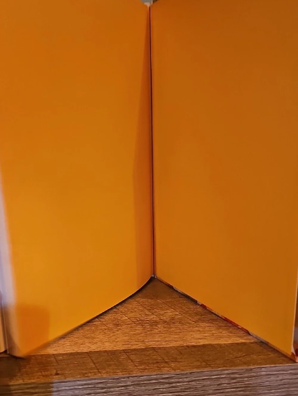 ✨ Vintage 1967 First Edition Better Homes and Gardens 